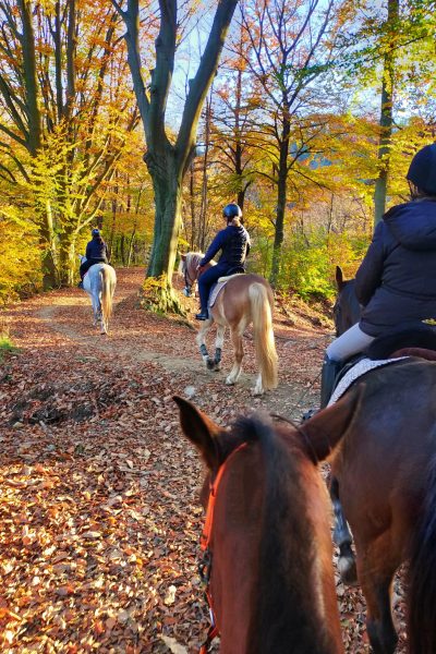 Passeggiata a cavallo a Cairo Montenotte